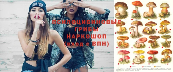 таблы Алексеевка