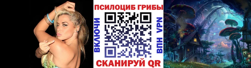 Галлюциногенные грибы MAGIC MUSHROOMS  ОМГ ОМГ   Новосиль 